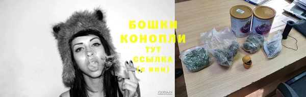 PSILOCYBIN Карталы