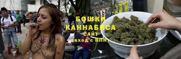 PSILOCYBIN Карталы