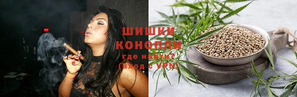 PSILOCYBIN Карталы