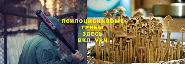 PSILOCYBIN Карталы