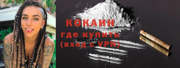 PSILOCYBIN Карталы